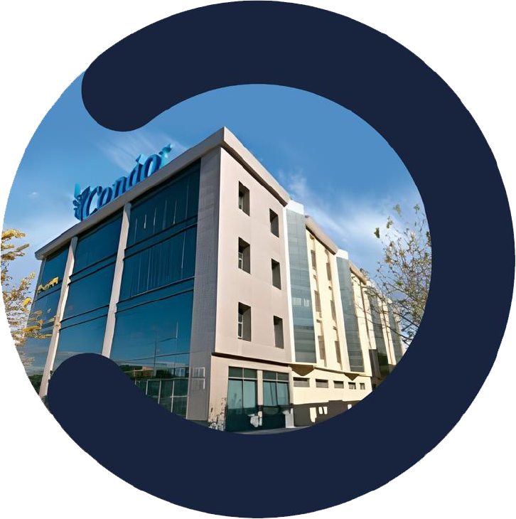 All Pages Elementor Condor